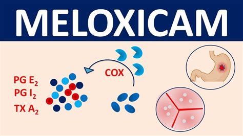 Meloxicam: Dosage, Mechanism/Onset of Action, Half .